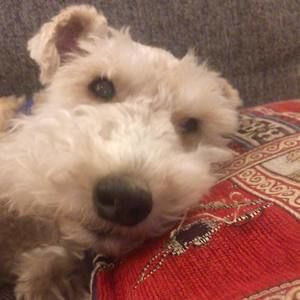 Meet your Posher, Ed